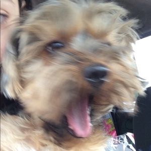 Meet your Posher, Alejandra